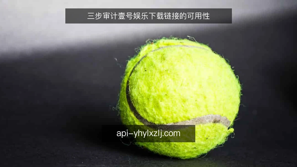三步审计壹号娱乐下载链接的可用性