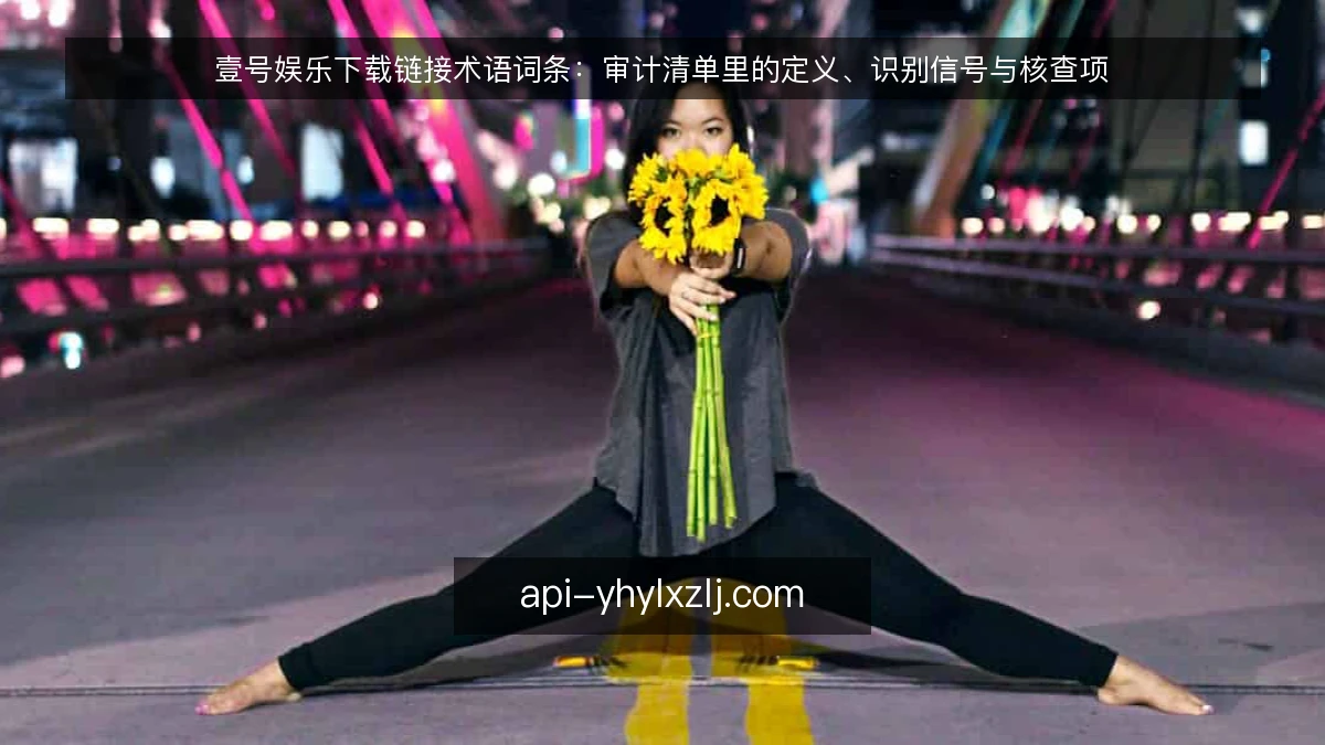 壹号娱乐下载链接术语词条：审计清单里的定义、识别信号与核查项